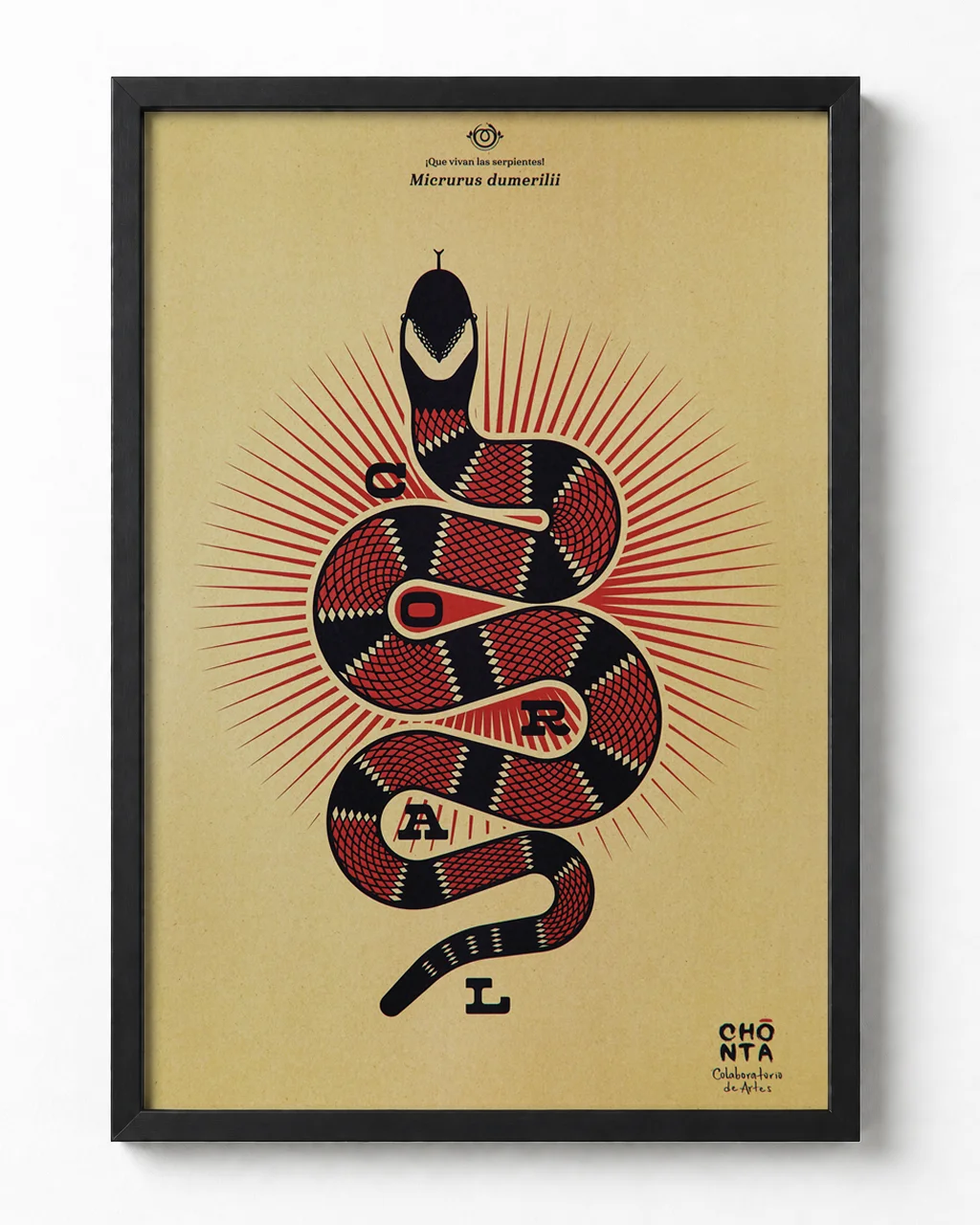 Afiche ilustrado Coral, Micrurus dumerilii, variante ocre, serpiente colombiana